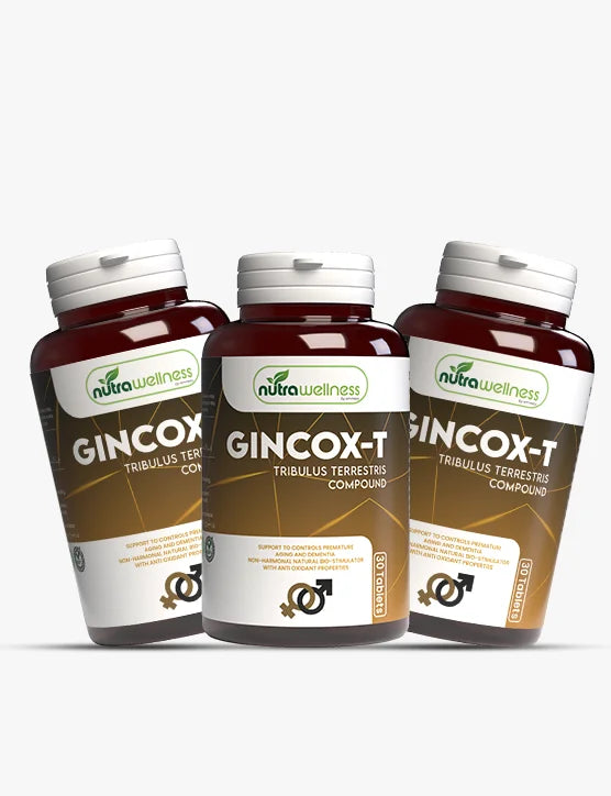3 Gincox-t (Men's Health Bundle)
