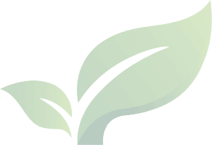 Leaf Graphic