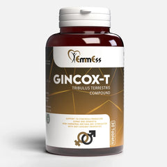 GINCOX - T | Performance & Enhanced Vitality Support - NutraWellness